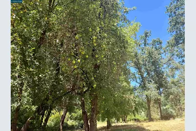 4578 Pretty Good Rd, Placerville, CA 95667 - Photo 23