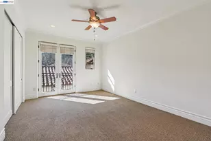 1439 Vine Ln, Alamo, CA 94507 - Photo 41