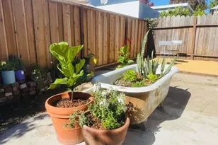 3114 California, Berkeley, CA 94703 - Photo 35