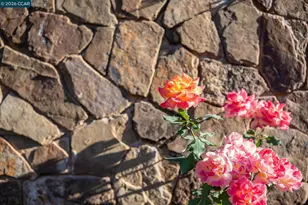 940 Eagle Ridge Dr, Danville, CA 94506 - Photo 55