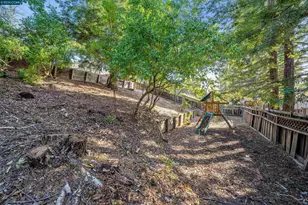 3840 Cottonwood Dr, Danville, CA 94506 - Photo 59