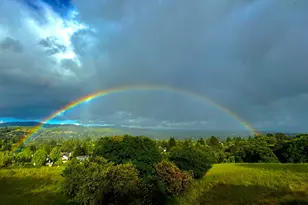 1405 Fountain Springs Cir, Danville, CA 94526 - Photo 51