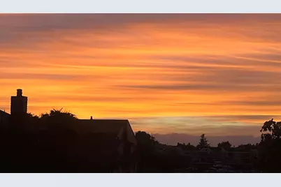 548 Queens Rd, Alameda, CA 94501 - Photo 41