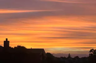 548 Queen's Rd, Alameda, CA 94501 - Photo 41