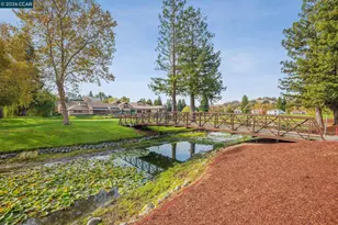 30 Sugar Pine Ln, Danville, CA 94506 - Photo 59