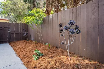 1207 Francisco Street #2, Berkeley, CA 94702 - Photo 53
