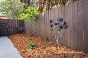 1207 Francisco St, Berkeley, CA 94702 - Photo 53