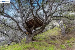 3175 Revere Ave, Oakland, CA 94605 - Photo 33