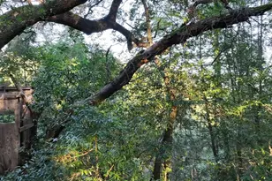 5051 Harrison Grade Rd, Sebastopol, CA 95472 - Photo 29