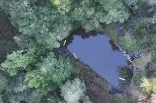 5051 Harrison Grade Rd, Sebastopol, CA 95472 - Photo 15