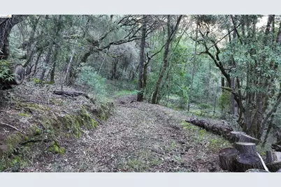 5051 Harrison Grade Rd, Sebastopol, CA 95472 - Photo 21