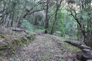 5051 Harrison Grade Rd, Sebastopol, CA 95472 - Photo 21