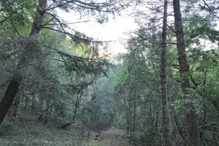 5051 Harrison Grade Rd, Sebastopol, CA 95472 - Photo 19