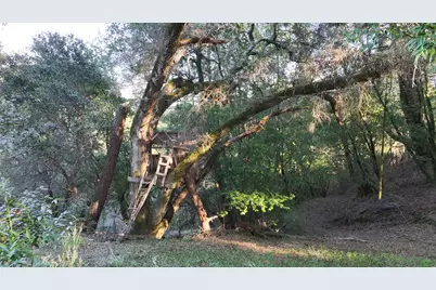 5051 Harrison Grade Rd, Sebastopol, CA 95472 - Photo 19