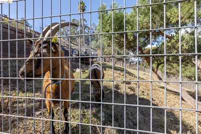 4450 Turner Ave, Oakland, CA 94605 - Photo 49