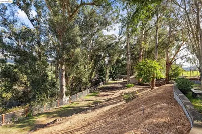 4450 Turner Ave, Oakland, CA 94605 - Photo 51