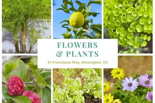 51 Franciscan Way, Kensington, CA 94707 - Photo 39