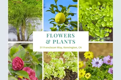 51 Franciscan Way, Kensington, CA 94707 - Photo 39