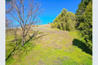 2590 Caballo Ranchero Dr, Diablo, CA 94528 - Photo 3