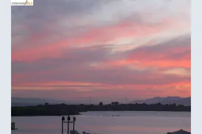 946 Kains Ave, Albany, CA 94706 - Photo 1