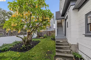 15 Olive Ave, Piedmont, CA 94611 - Photo 37