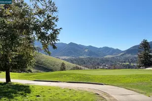 362 Blue Oak Ln, Clayton, CA 94517 - Photo 47