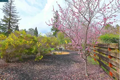 1807 Magnolia Way, Walnut Creek, CA 94595 - Photo 33