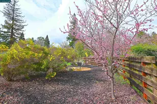 1807 Magnolia Way, Walnut Creek, CA 94595 - Photo 33