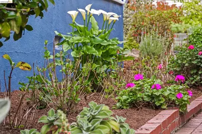 2465 Alida St, Oakland, CA 94602 - Photo 33