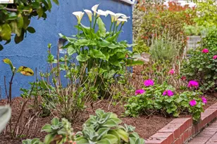 2465 Alida St, Oakland, CA 94602 - Photo 33