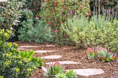 2465 Alida St, Oakland, CA 94602 - Photo 3