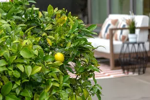 104 Capricorn Ave, Oakland, CA 94611 - Photo 47