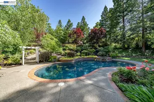 859 Gray Fox Cir, Pleasanton, CA 94566 - Photo 51