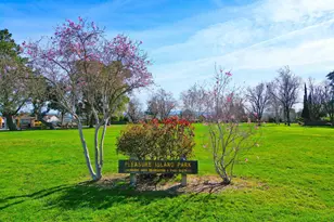 319 Pearl Dr, Livermore, CA 94550 - Photo 43