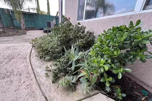 2144 Stansfield, Roseville, CA 95747 - Photo 17