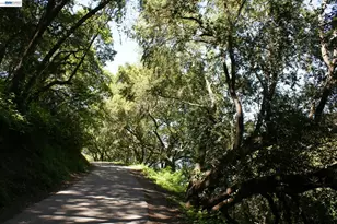 18028 Almond Rd, Castro Valley, CA 94546 - Photo 49