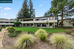 3112 Ptarmigan Dr, Walnut Creek, CA 94595 - Photo 49