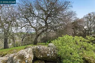 3112 Ptarmigan Dr, Walnut Creek, CA 94595 - Photo 47