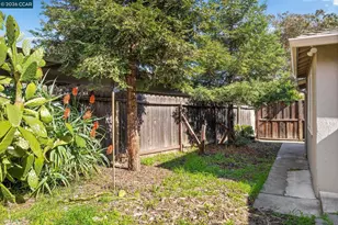 4820 Blum Rd, Martinez, CA 94553 - Photo 41