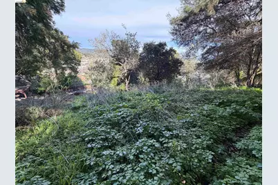 59, 60 Clayton St., San Rafael, CA 94901 - Photo 3