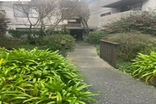 7246 Shelter Creek Ln, San Bruno, CA 94066 - Photo 1