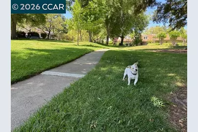 1762 Holland Cir, Walnut Creek, CA 94597 - Photo 23