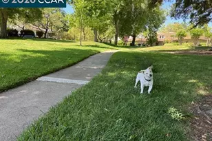 1762 Holland Cir, Walnut Creek, CA 94597 - Photo 23