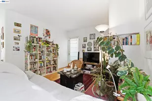 1682 Oxford St, Berkeley, CA 94709 - Photo 17
