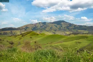 145 Sugar Creek Ln, Alamo, CA 94507 - Photo 47