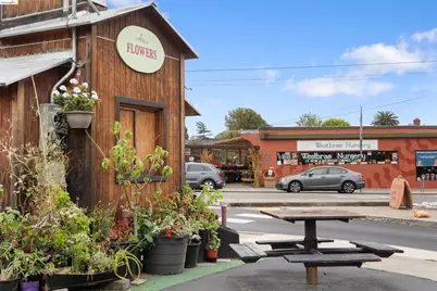 1207 Cornell Ave, Berkeley, CA 94706 - Photo 55