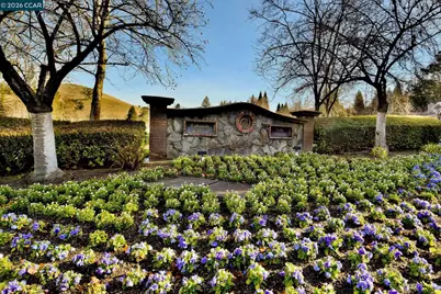 715 Blue Spruce Dr, Danville, CA 94506 - Photo 31