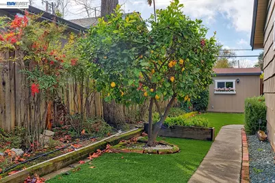 1515 Miramonte Ave, Mountain View, CA 94040 - Photo 35