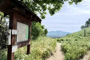 1975 Fair Ridge Ct, Walnut Creek, CA 94597 - Photo 51