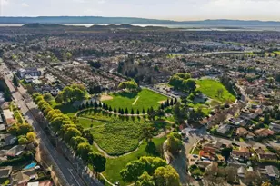 34362 Enea Terrace, Fremont, CA 94555 - Photo 43